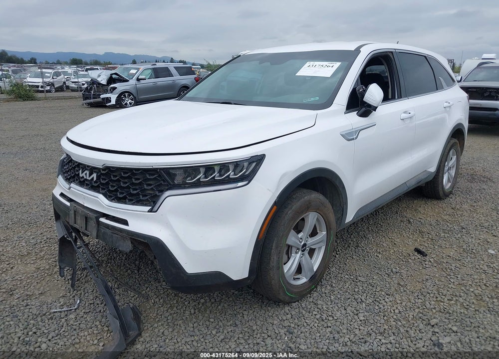 2023 KIA SORENTO VIN: 5XYRGDLC7PG241610