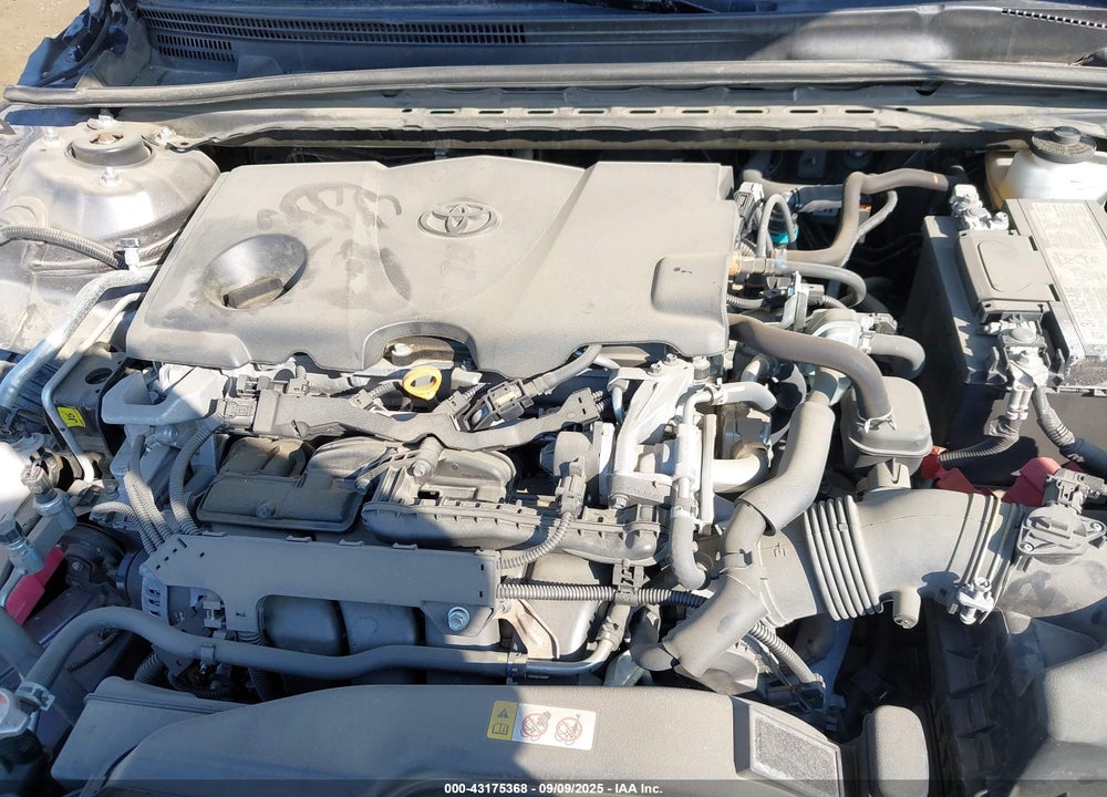 2020 TOYOTA CAMRY VIN: 4T1G11AK9LU375962