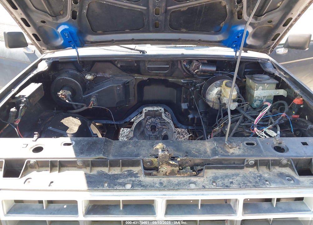 1991 FORD RANGER VIN: 1FTCR10A6MUD12078