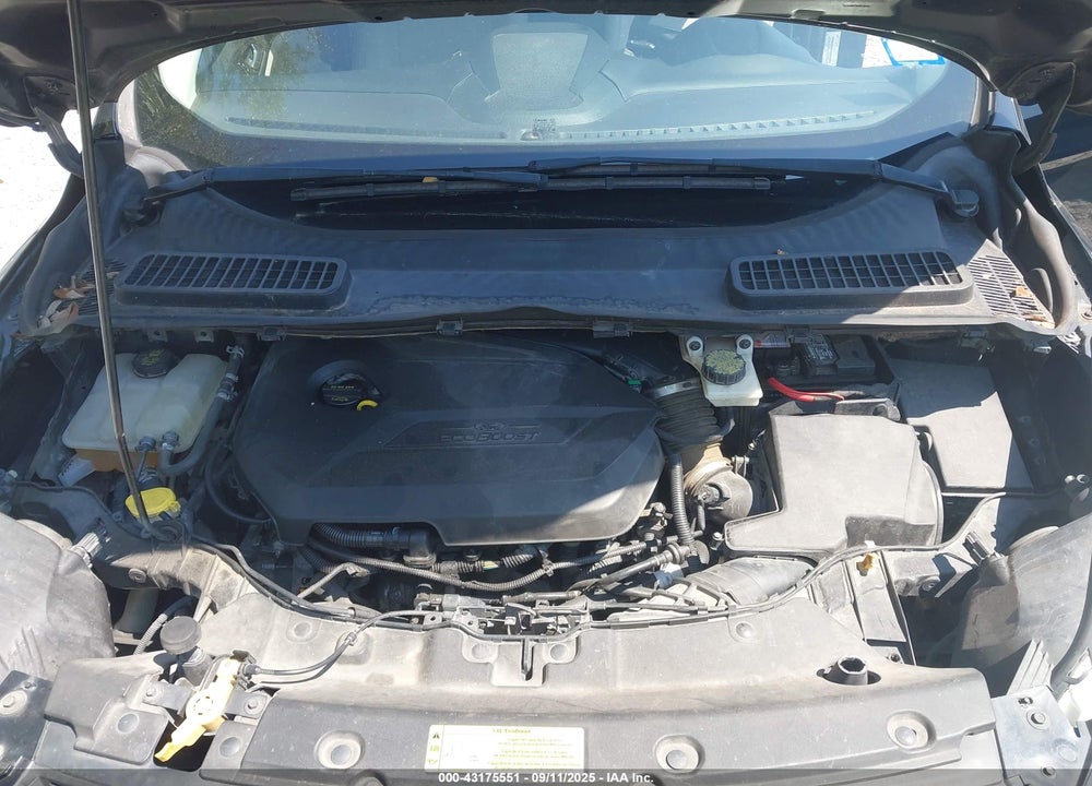 2014 FORD ESCAPE SE VIN: 1FMCU0GX5EUB97876
