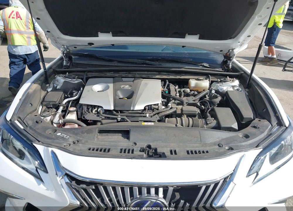 2019 LEXUS ES 300H VIN: JTHB21B12K2037359