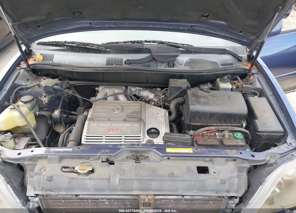 1999 LEXUS RX 300 VIN: JT6HF10U5X0034348