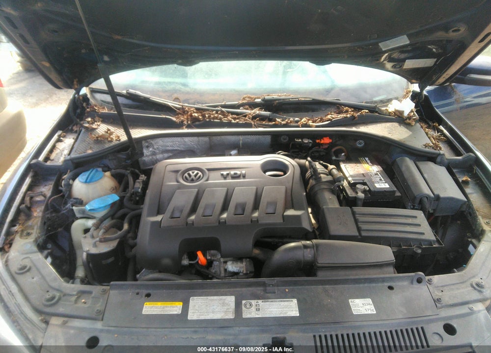 2013 VOLKSWAGEN PASSAT VIN: 1VWBN7A31DC110617