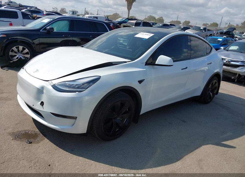 2021 TESLA MODEL Y VIN: 5YJYGDEE1MF299130