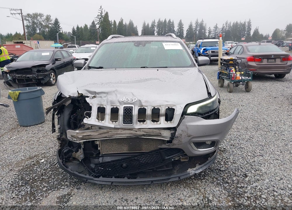 2019 JEEP CHEROKEE VIN: 1C4PJMDX5KD435294