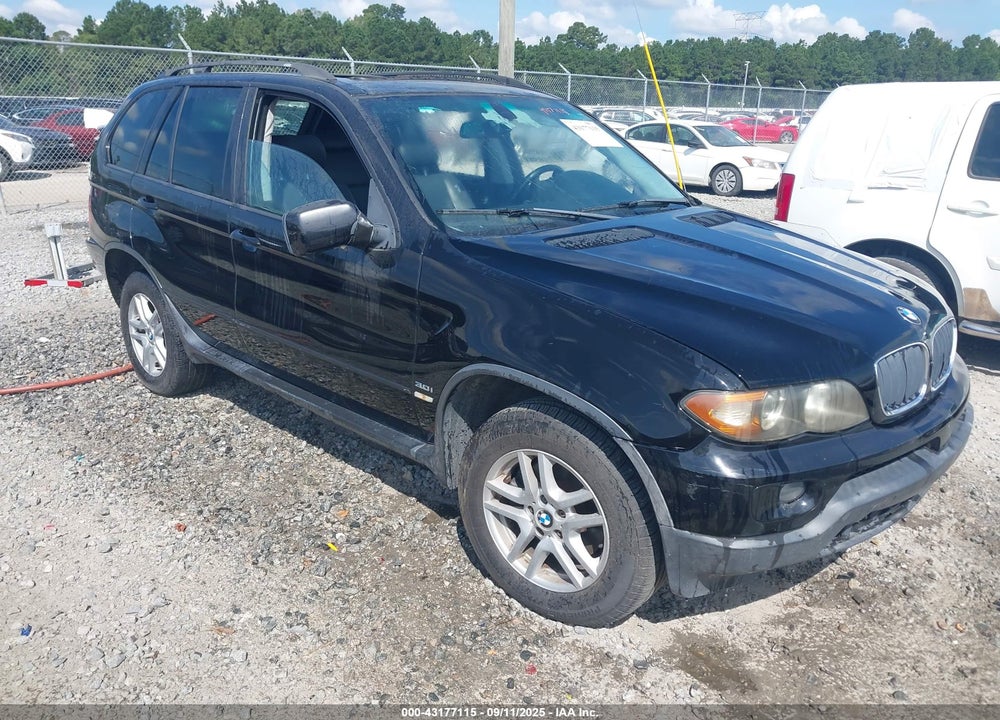 2006 BMW X5 3.0I VIN: 5UXFA135X6LY35596