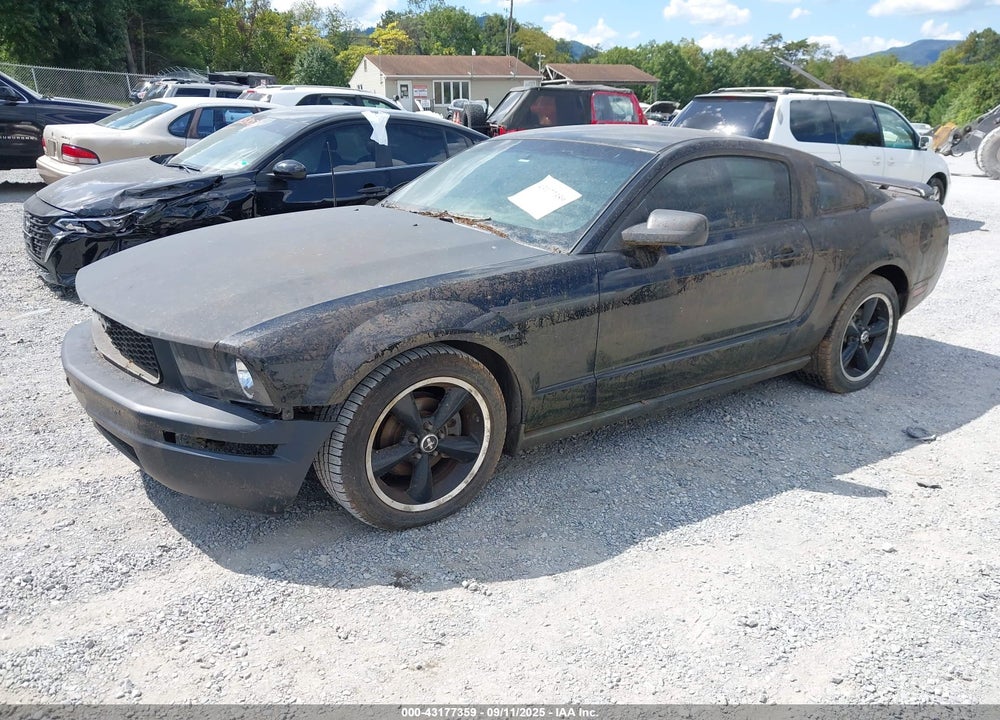 2007 FORD MUSTANG VIN: 1ZVFT80N175311720