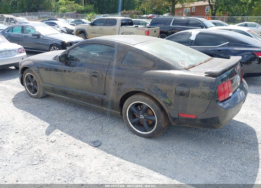 2007 FORD MUSTANG VIN: 1ZVFT80N175311720