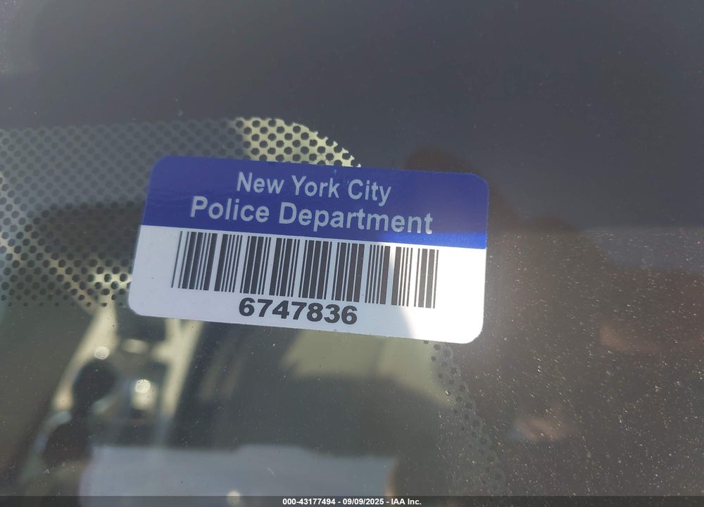 2010 CHEVROLET EQUINOX VIN: 2CNALBEW8A6306713