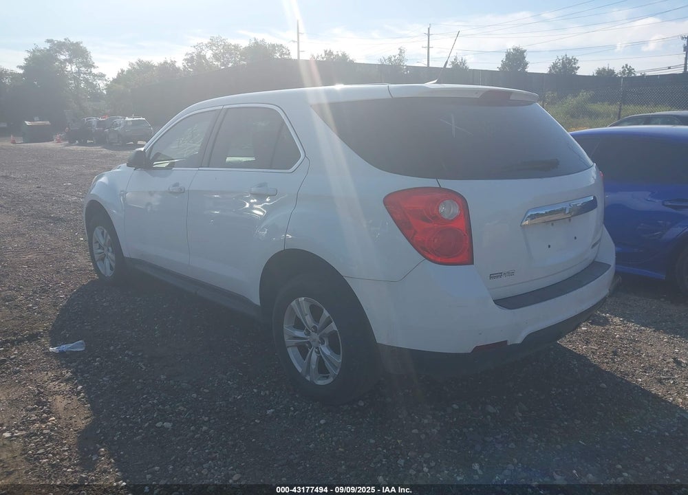 2010 CHEVROLET EQUINOX VIN: 2CNALBEW8A6306713