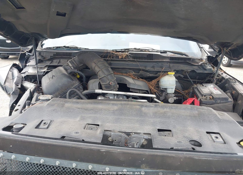 2011 RAM 1500 VIN: 1D7RB1GT1BS657491