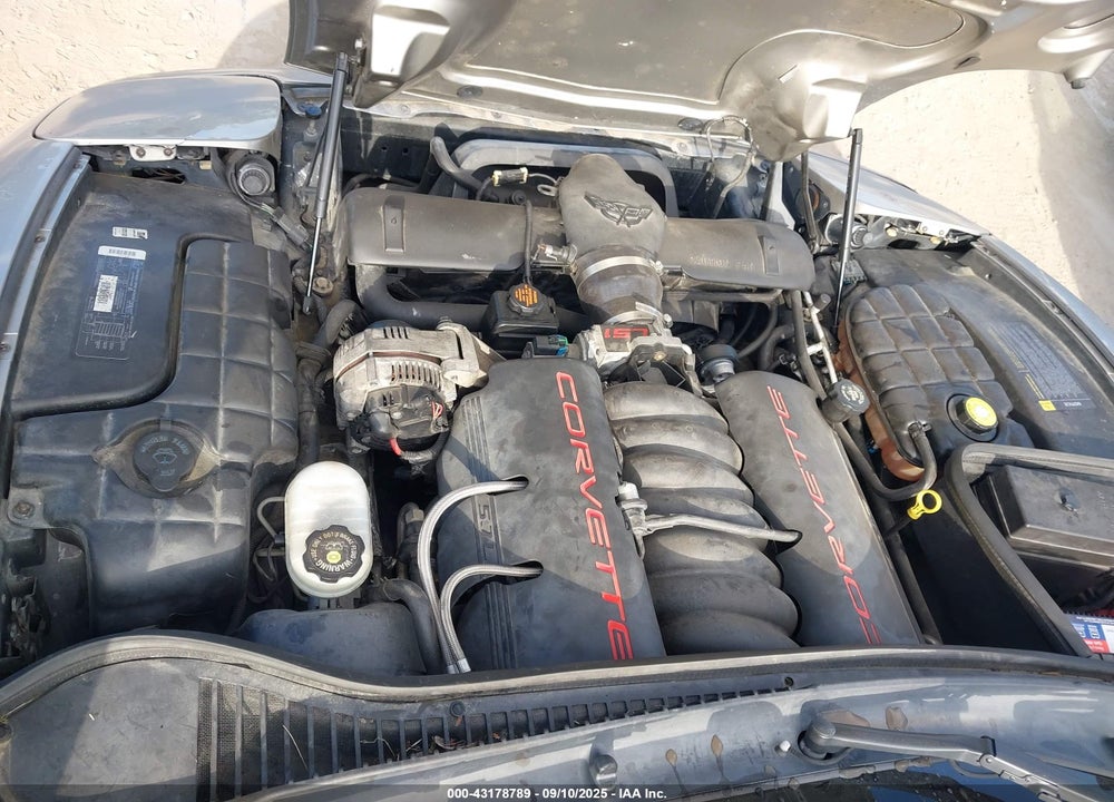 1998 CHEVROLET CORVETTE VIN: 1G1YY22G7W5123221