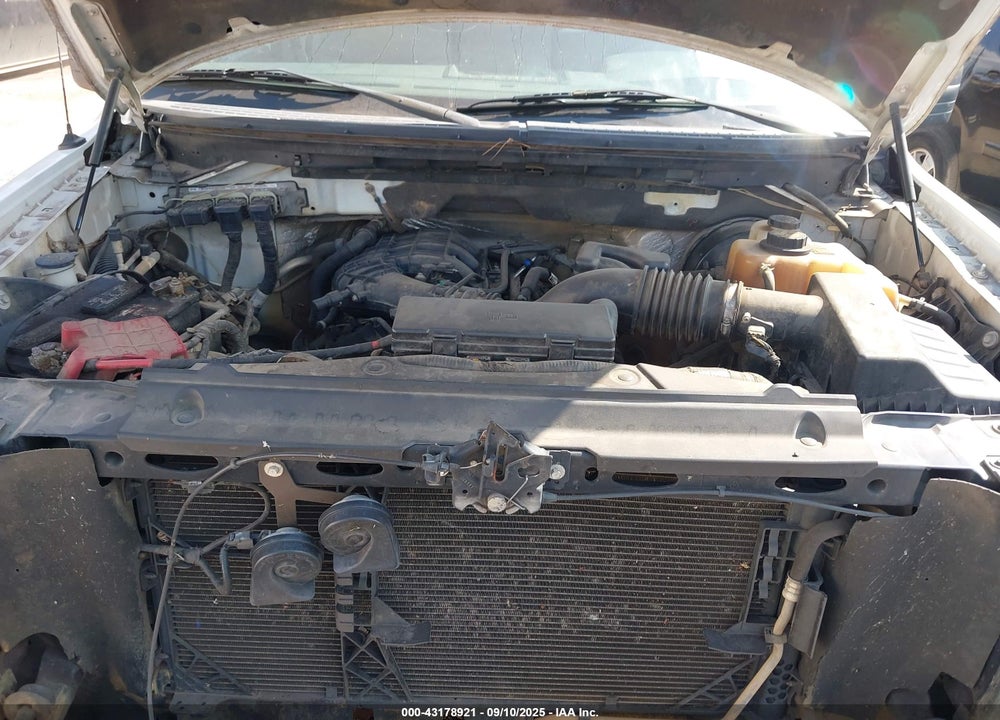 2011 FORD F-150 VIN: 1FTMF1CM7BKD33467