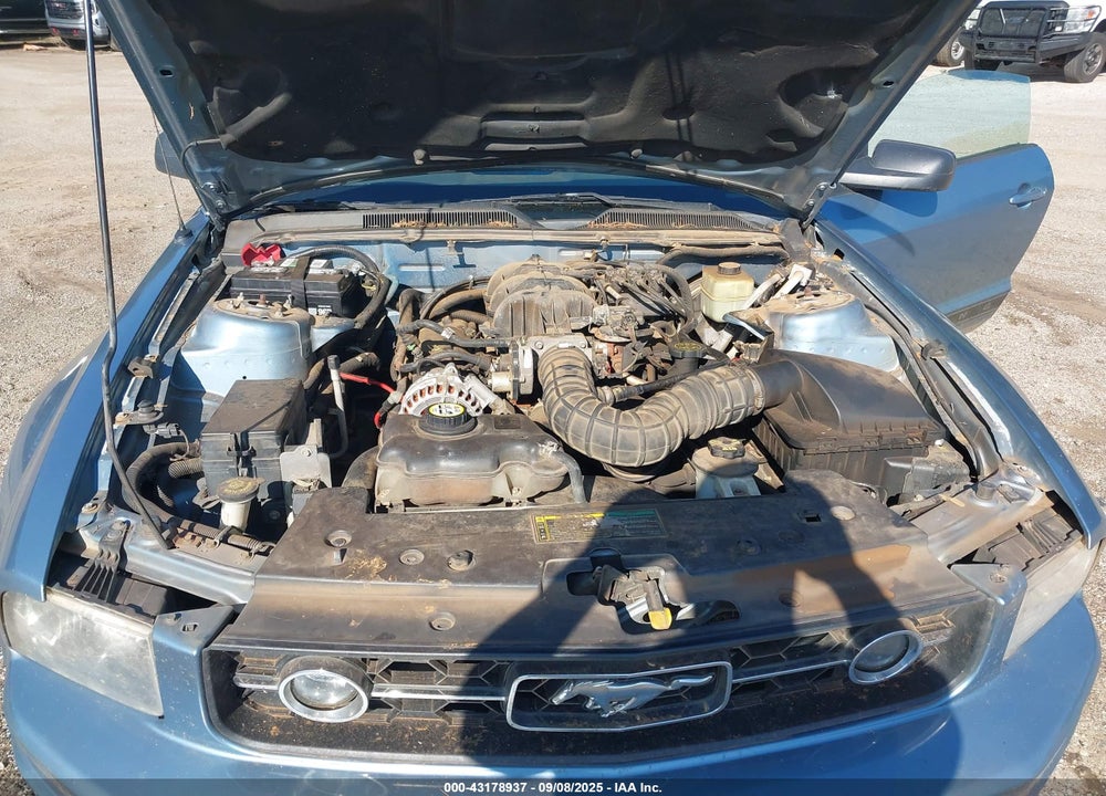 2006 FORD MUSTANG V6 VIN: 1ZVFT84NX65131533