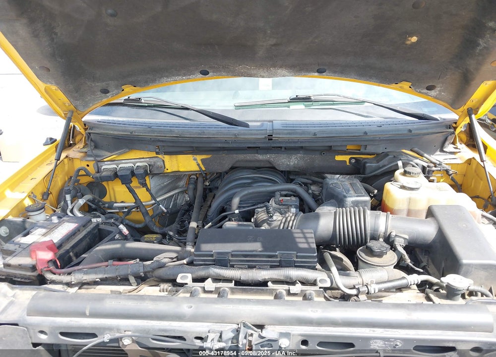 2010 FORD F-150 VIN: 1FTEX1E88AKE39264