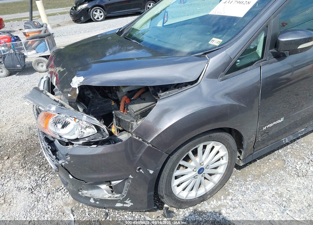 2016 FORD C-MAX VIN: 1FADP5AU3GL107974