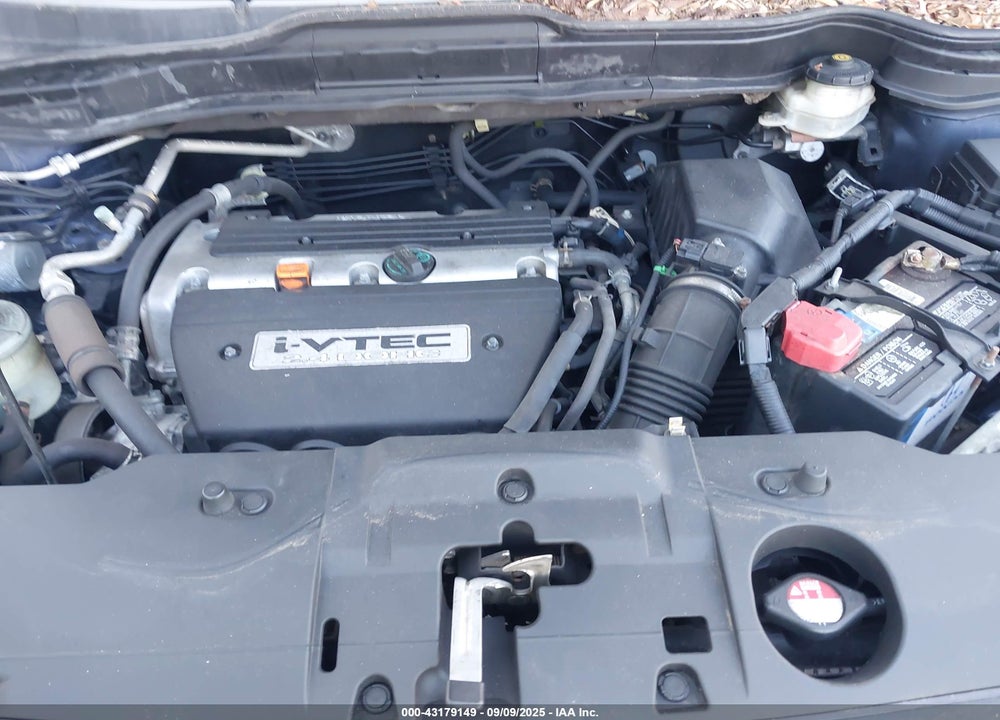 2009 HONDA CR-V VIN: 5J6RE483X9L034080