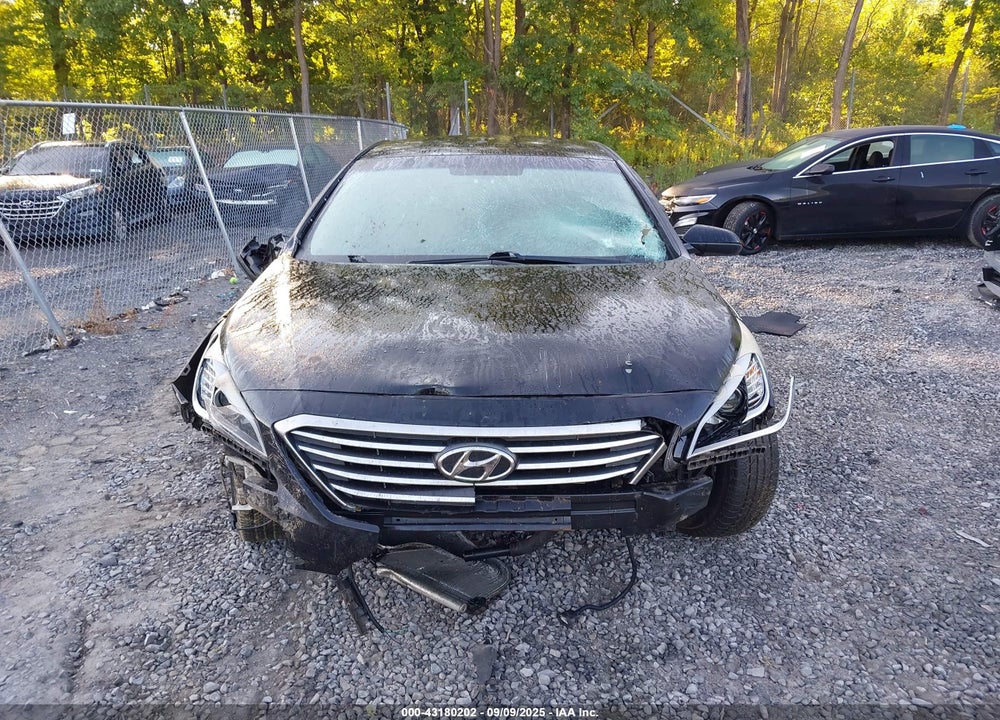 2016 HYUNDAI SONATA VIN: 5NPE24AF1GH272709