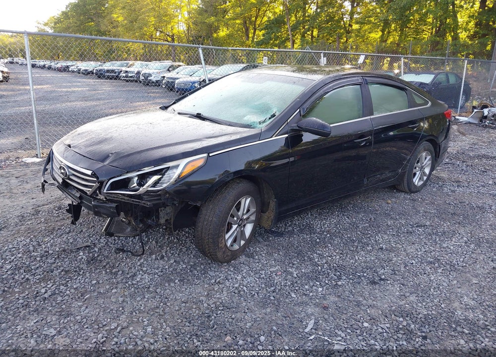 2016 HYUNDAI SONATA VIN: 5NPE24AF1GH272709