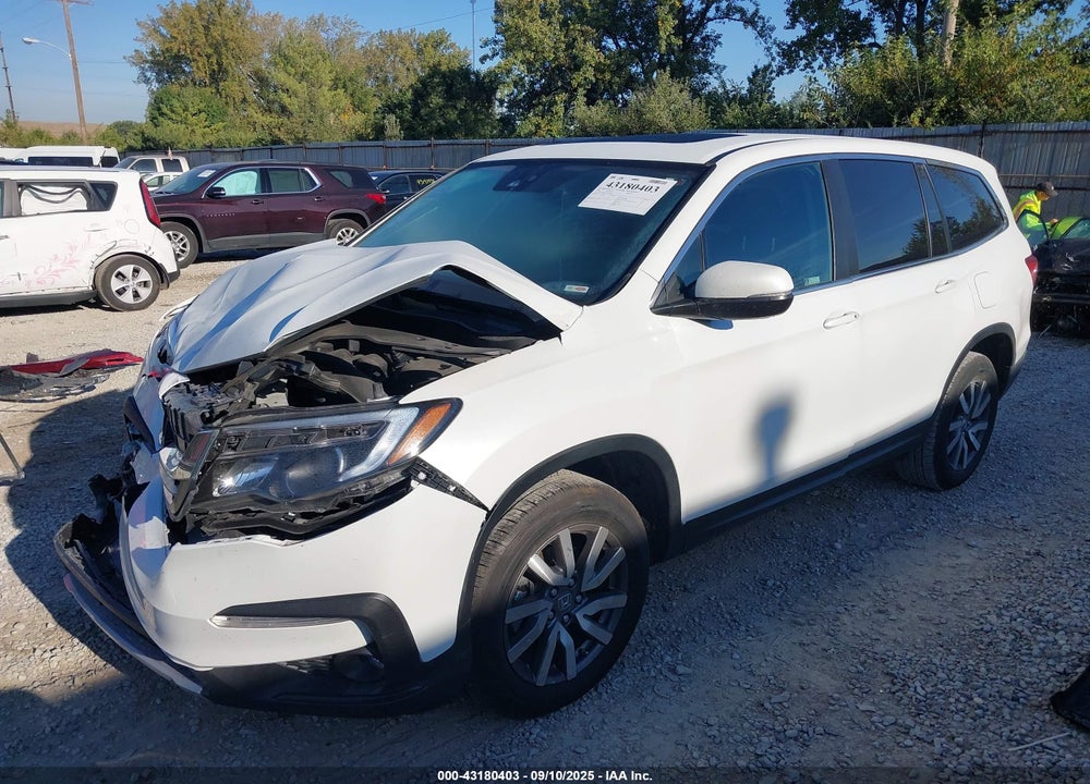 2022 HONDA PILOT VIN: 5FNYF6H51NB019976