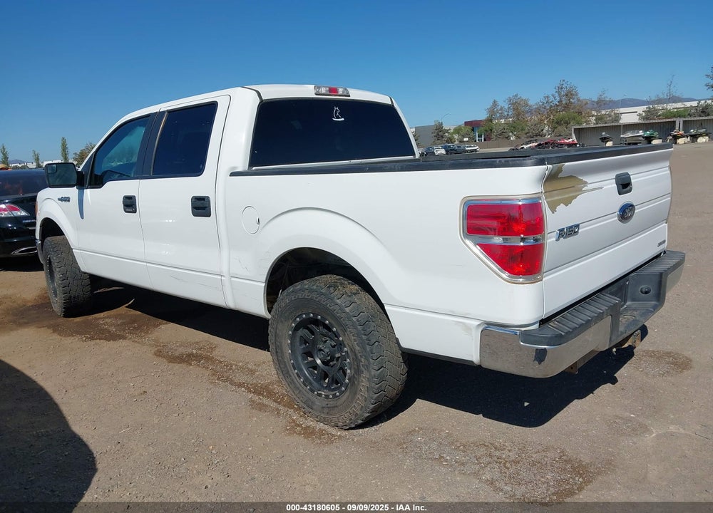 2013 FORD F-150 XLT VIN: 1FTEW1CM5DKG51448