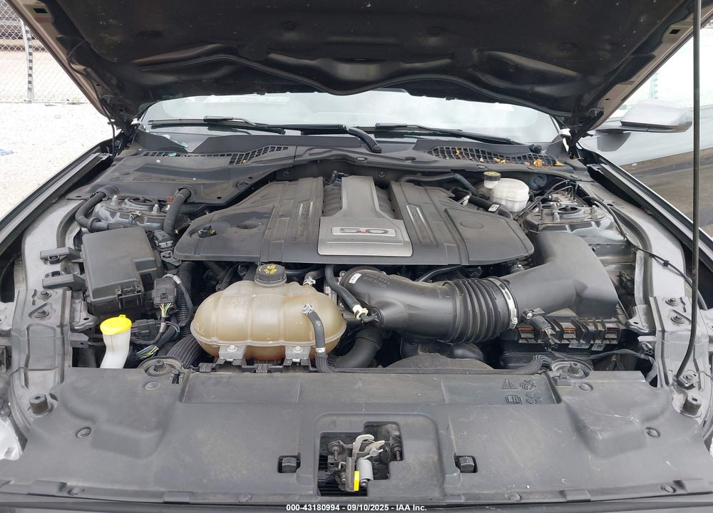 2019 FORD MUSTANG VIN: 1FA6P8CF1K5196448