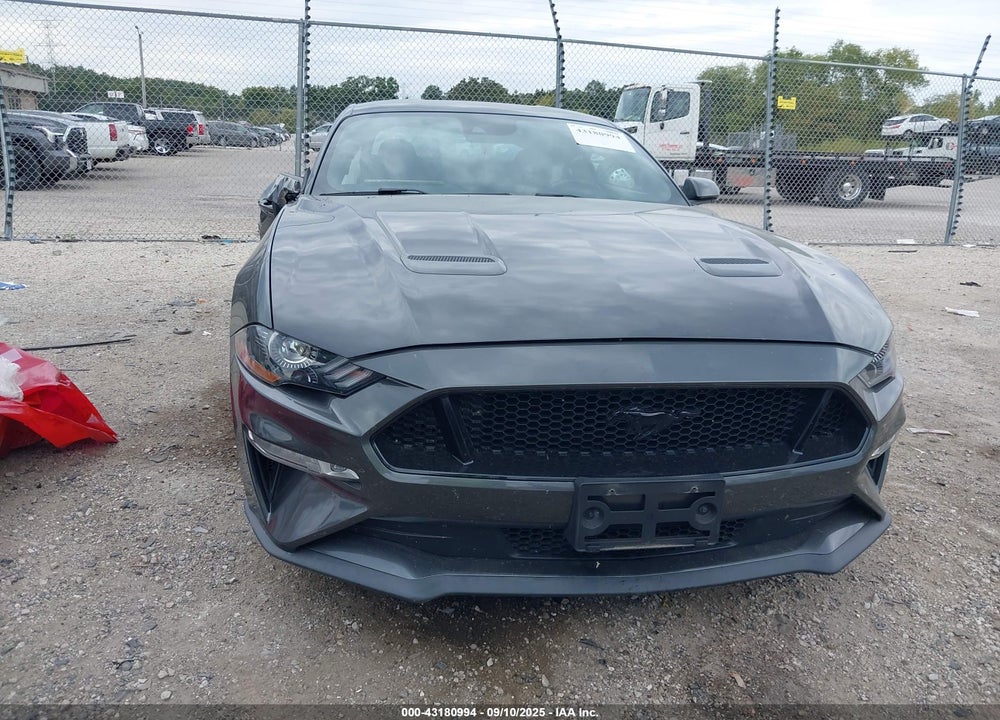 2019 FORD MUSTANG VIN: 1FA6P8CF1K5196448