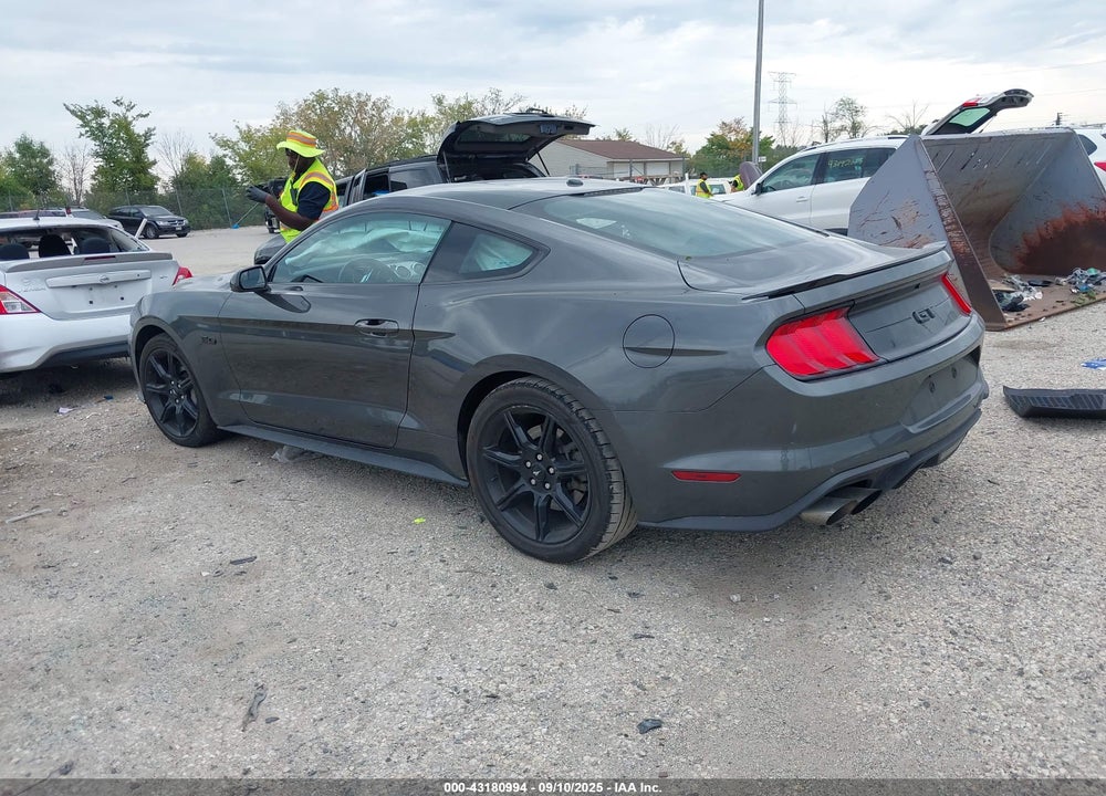 2019 FORD MUSTANG VIN: 1FA6P8CF1K5196448
