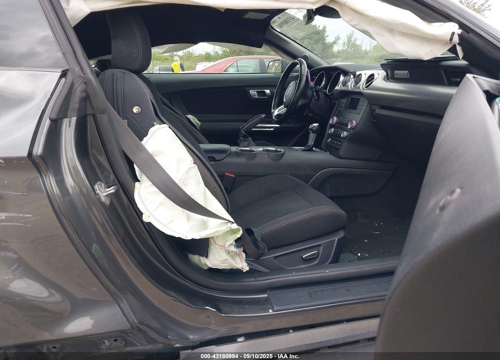 2019 FORD MUSTANG VIN: 1FA6P8CF1K5196448