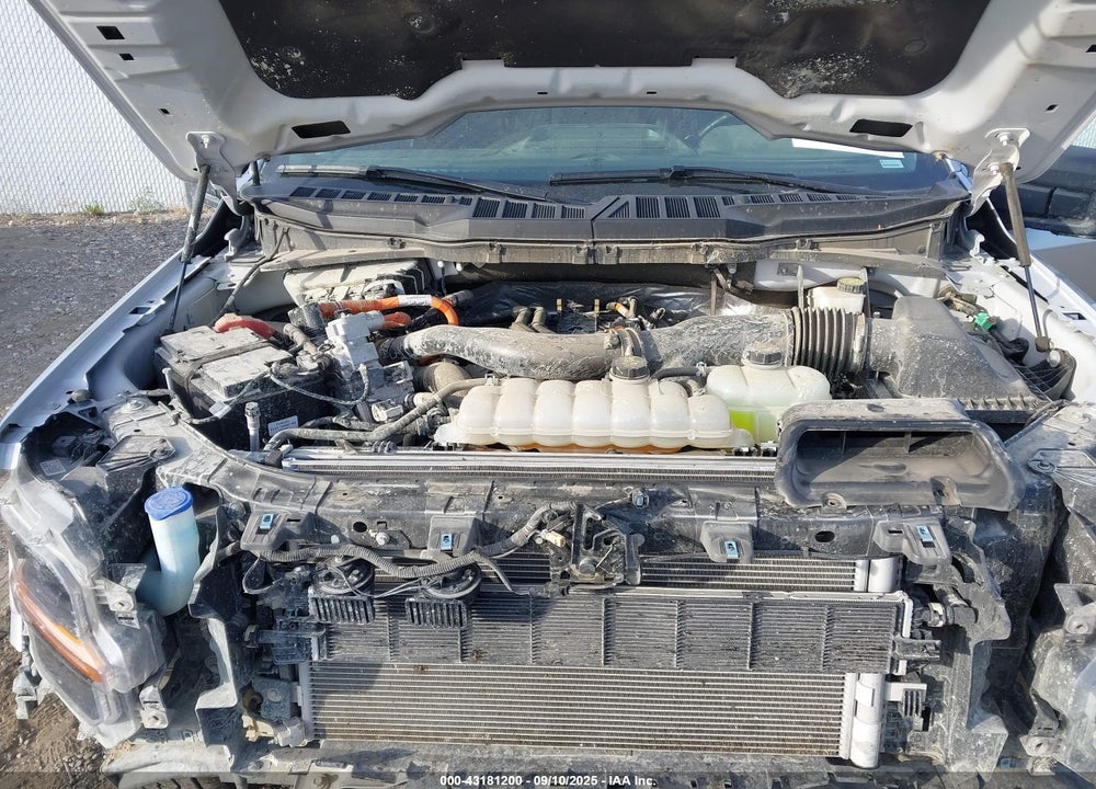 2024 FORD F-150 XLT VIN: 1FTFW3LD4RFA73343