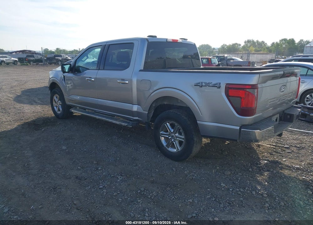 2024 FORD F-150 XLT VIN: 1FTFW3LD4RFA73343