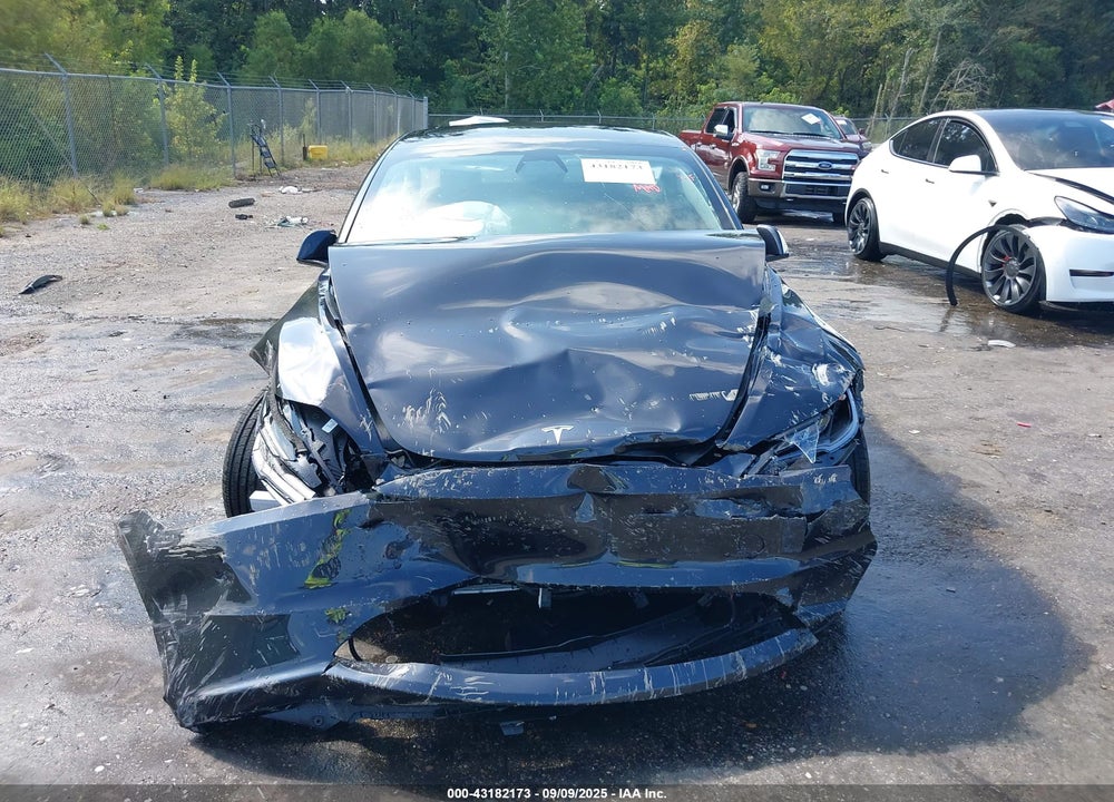 2025 TESLA MODEL 3 LONG RANGE REAR-WHEEL DRIVE VIN: 5YJ3E1EAXSF925329
