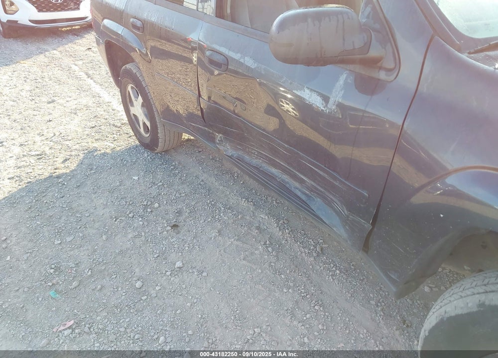 2006 CHEVROLET TRAILBLAZER VIN: 1GNDS13S262312565