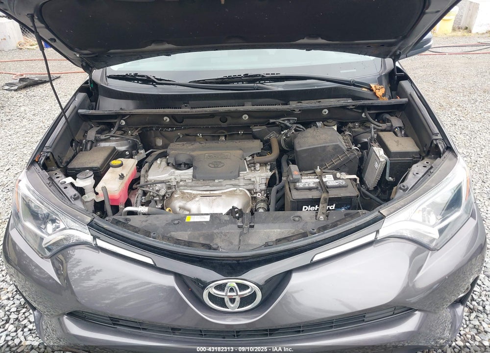 2016 TOYOTA RAV4 XLE VIN: 2T3RFREVXGW499104