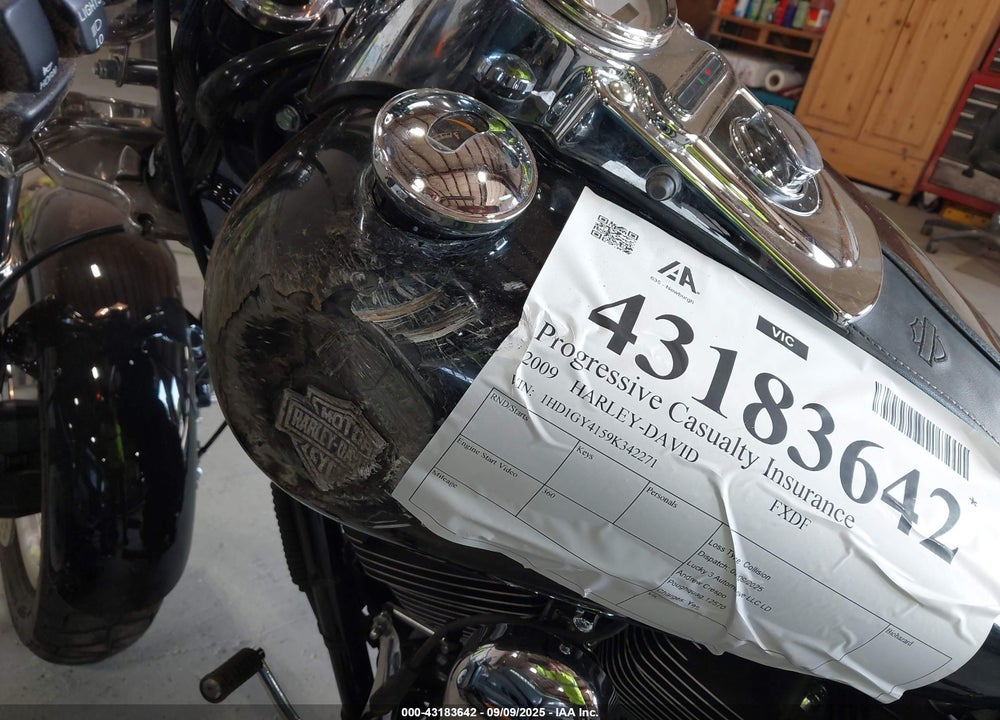 2009 HARLEY-DAVIDSON FXDF VIN: 1HD1GY4159K342271