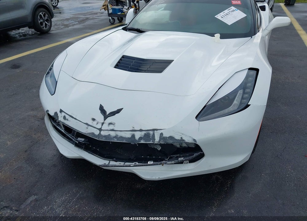 2019 CHEVROLET CORVETTE VIN: 1G1YA2D73K5102197