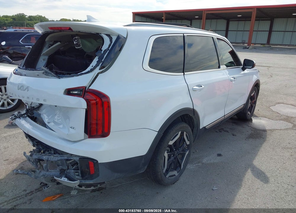 2024 KIA TELLURIDE VIN: 5XYP6DGC6RG488639