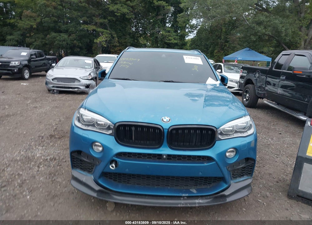 2015 BMW X5 VIN: 5YMKT6C5XF0C89174