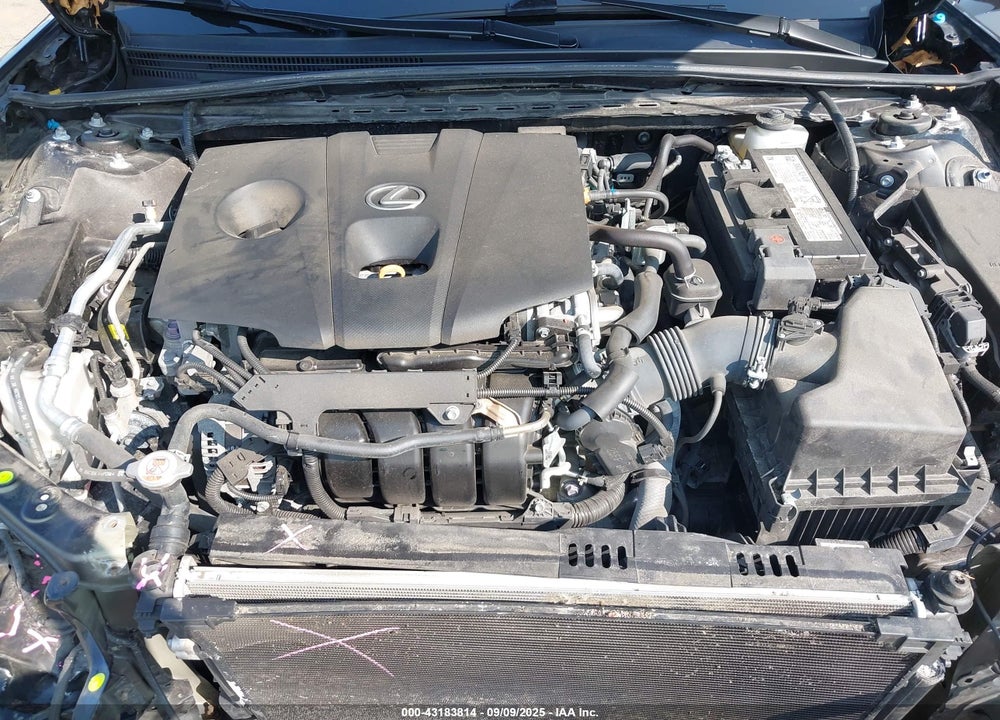 2021 LEXUS ES 250 VIN: 58AG11D17MU001489