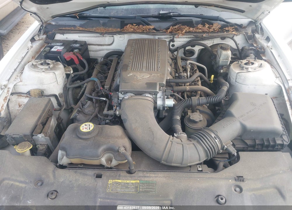 2010 FORD MUSTANG VIN: 1ZVBP8CH2A5126267