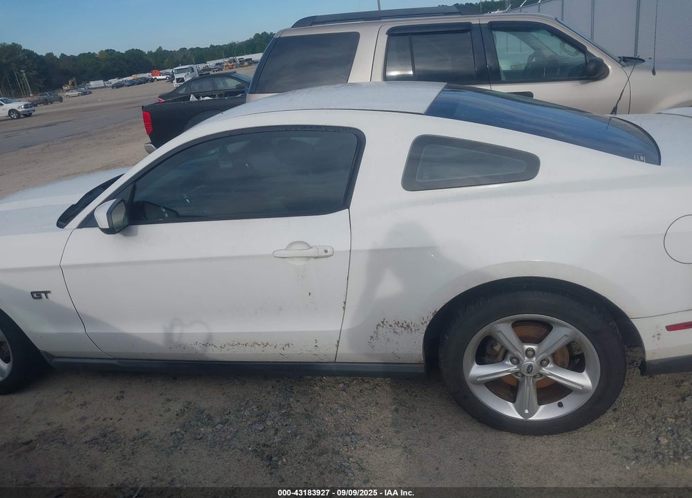 2010 FORD MUSTANG VIN: 1ZVBP8CH2A5126267