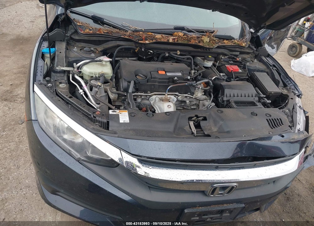2017 HONDA CIVIC LX VIN: 2HGFC2F58HH509309