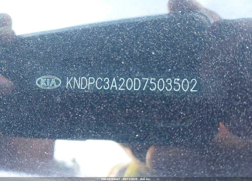 2013 KIA SPORTAGE VIN: KNDPC3A20D7503502
