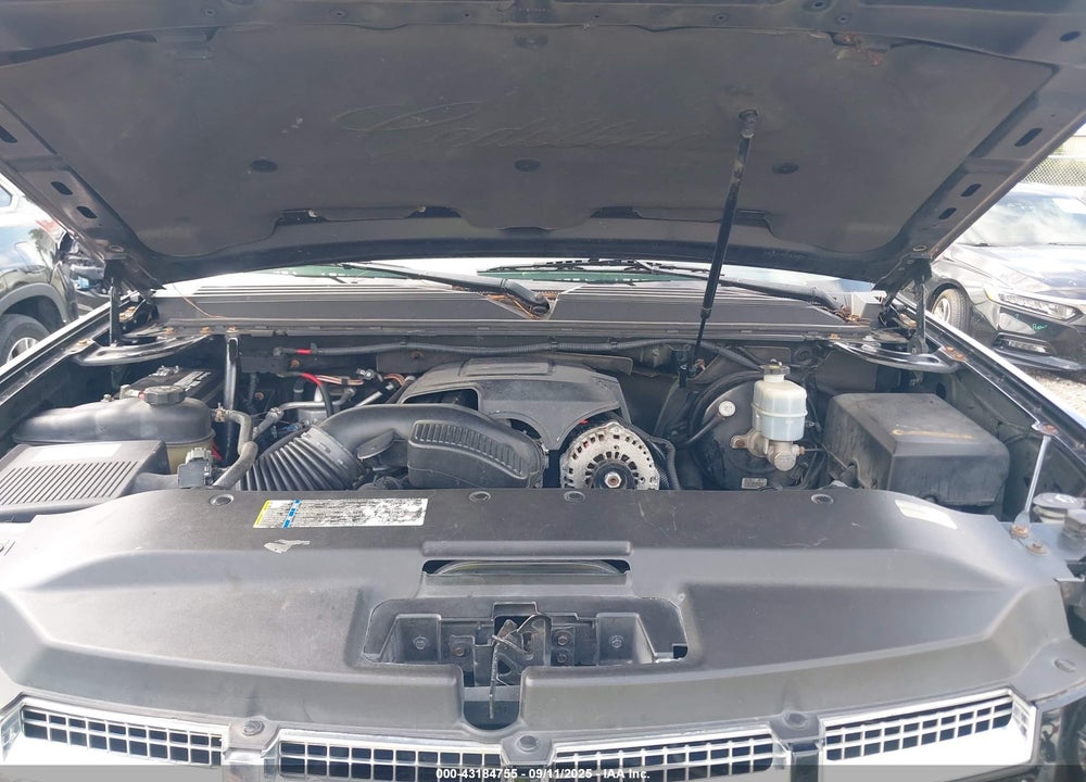 2009 CADILLAC ESCALADE ESV STANDARD VIN: 1GYFK26239R212919