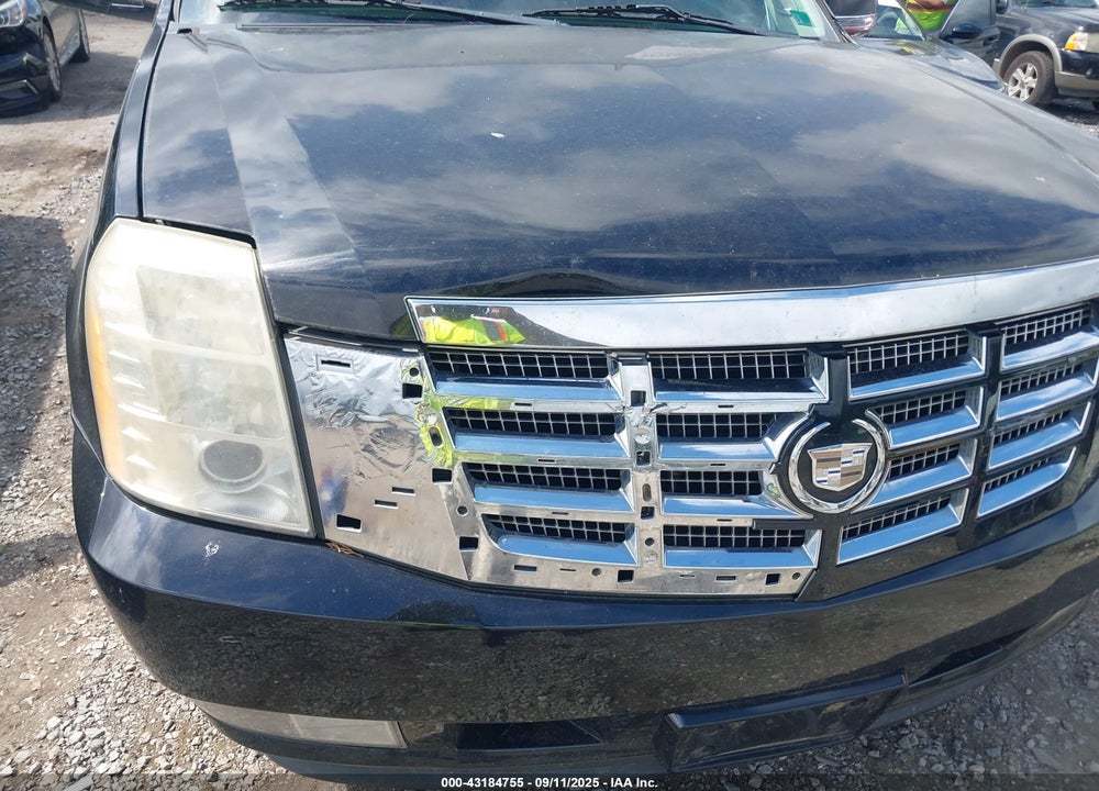 2009 CADILLAC ESCALADE ESV STANDARD VIN: 1GYFK26239R212919