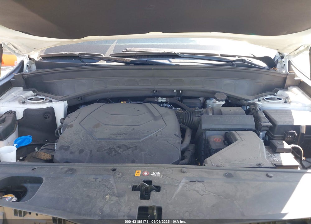 2024 KIA TELLURIDE VIN: 5XYP5DGC4RG417118