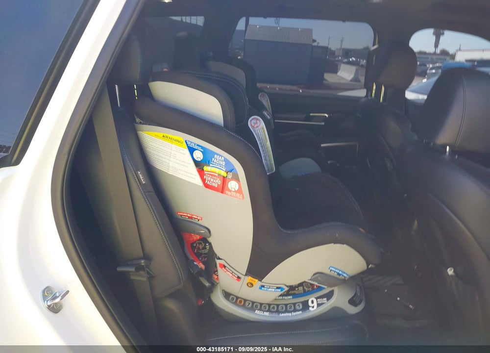 2024 KIA TELLURIDE VIN: 5XYP5DGC4RG417118