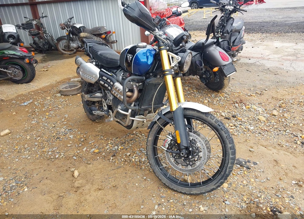 2019 TRIUMPH MOTORCYCLE SCRAMBLER 1200 XE VIN: SMTD51HG9KT934946