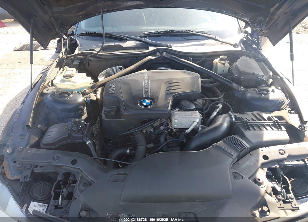 2013 BMW Z4 VIN: WBALL5C53DJ103824