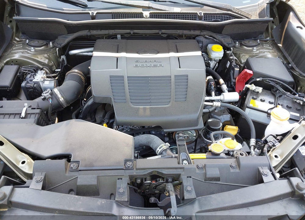 2024 SUBARU FORESTER VIN: JF2SKAJC0RH525299